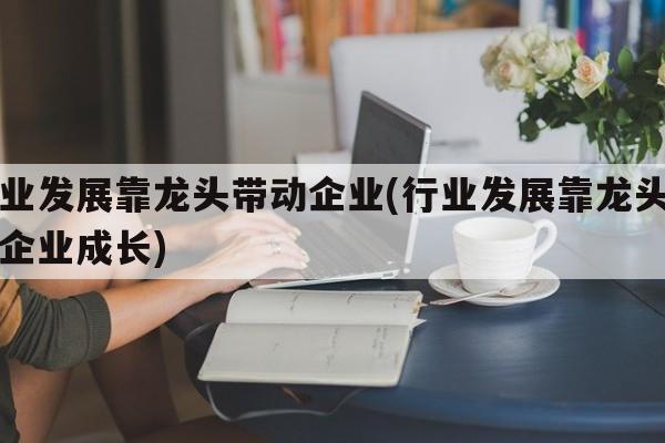 行业发展靠龙头带动企业(行业发展靠龙头带动企业成长)