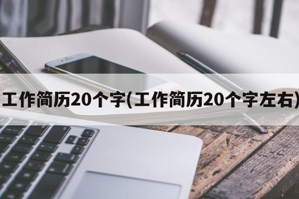 工作简历20个字(工作简历20个字左右)